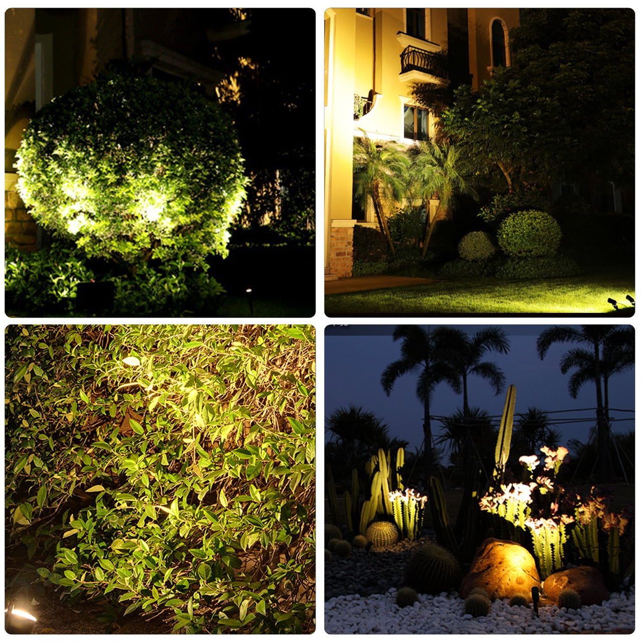 Solar Spotlight Landscape Lighting